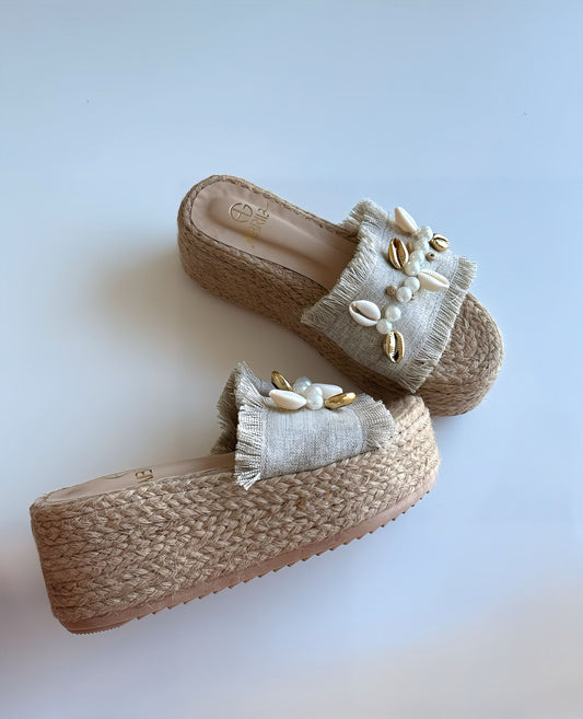 Planas | Conchitas